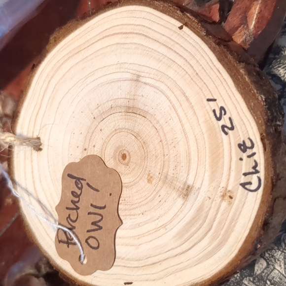 🦉Fall Wooden Ornament w/an Owl - Picture 3 of 3